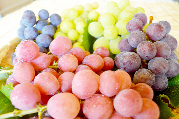 ぶどうの盛り合わせ