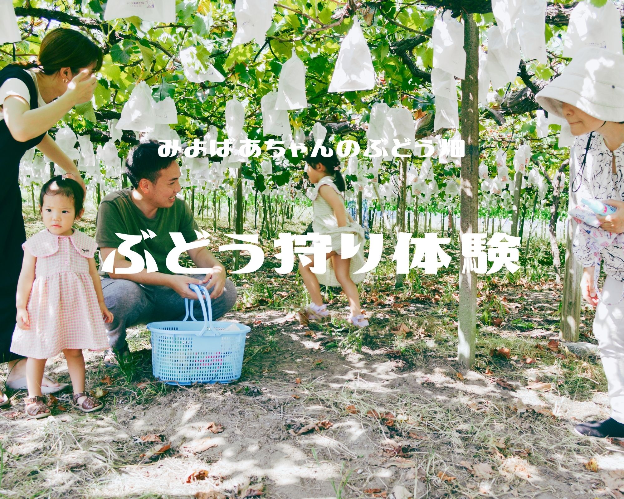 ぶどう狩り