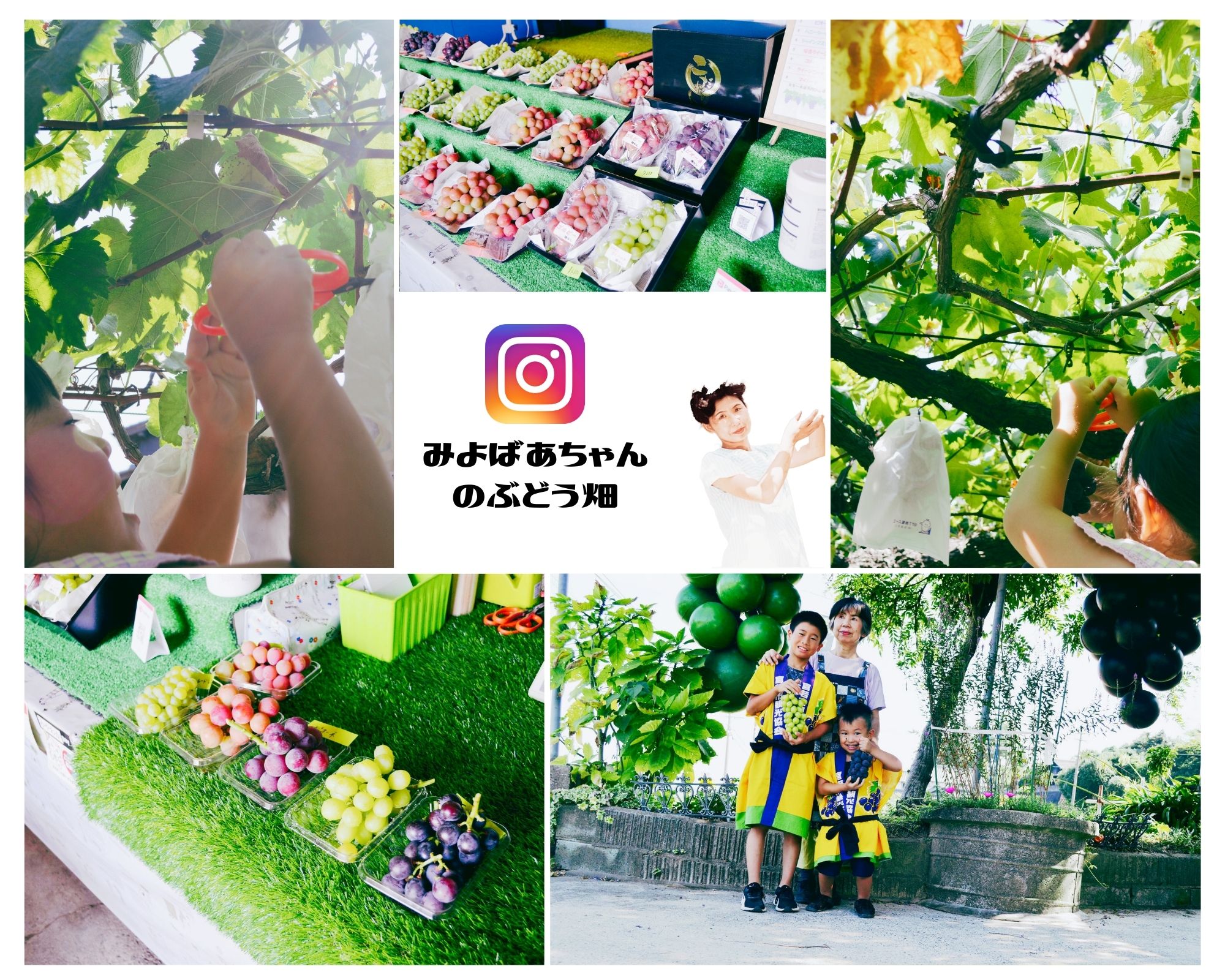 インスタグラム