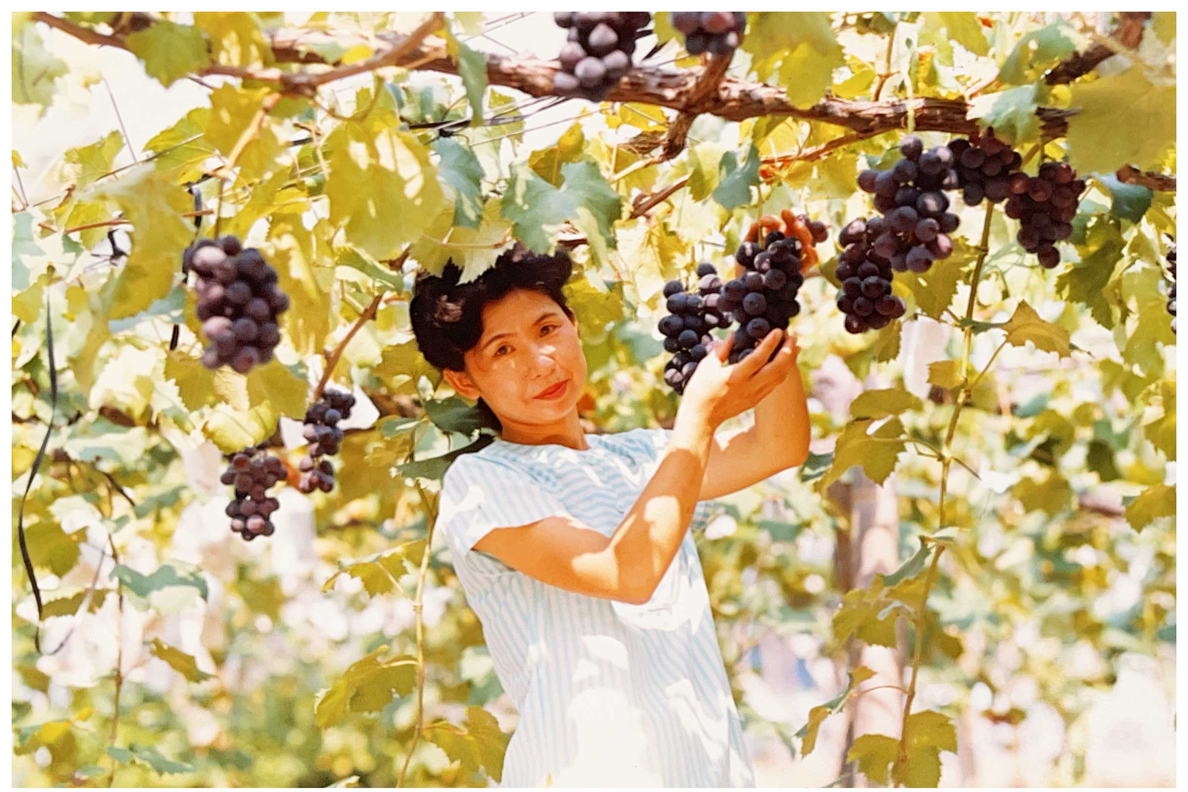 みよばあちゃん